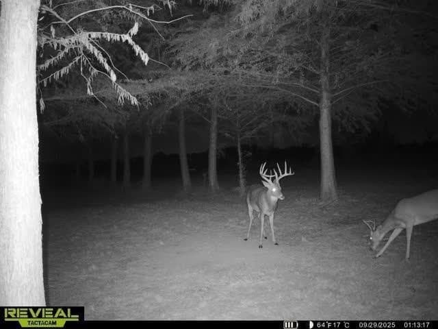 6.08 acres in Collin County - photo 18