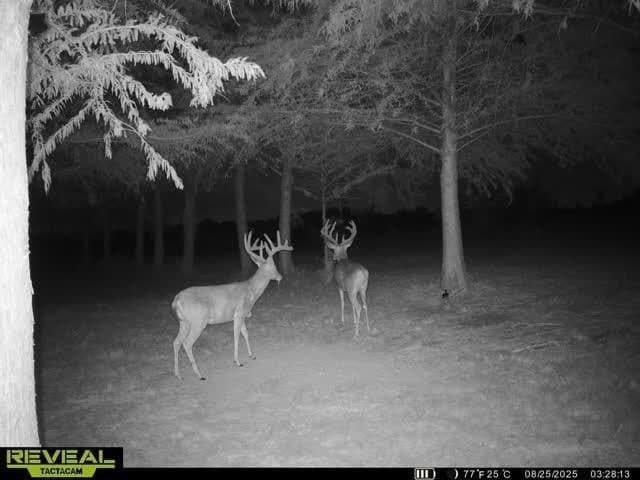 6.08 acres in Collin County - photo 21