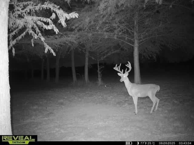 6.08 acres in Collin County - photo 22