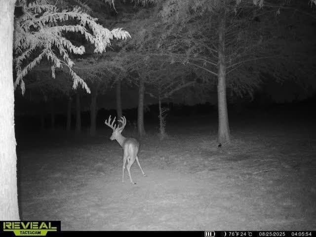 6.08 acres in Collin County - photo 26