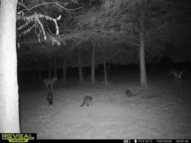 6.08 acres in Collin County - photo 20