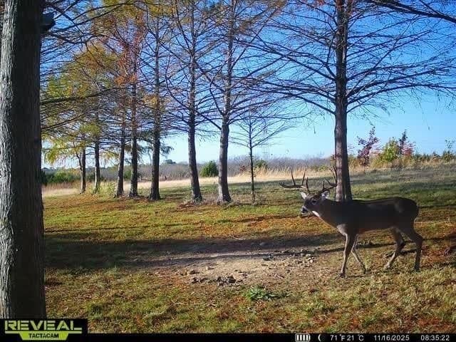 6.08 acres in Collin County - photo 24