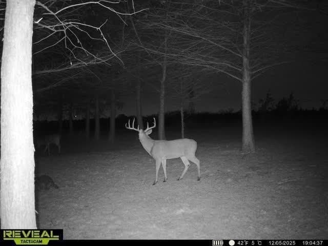 6.08 acres in Collin County - photo 23