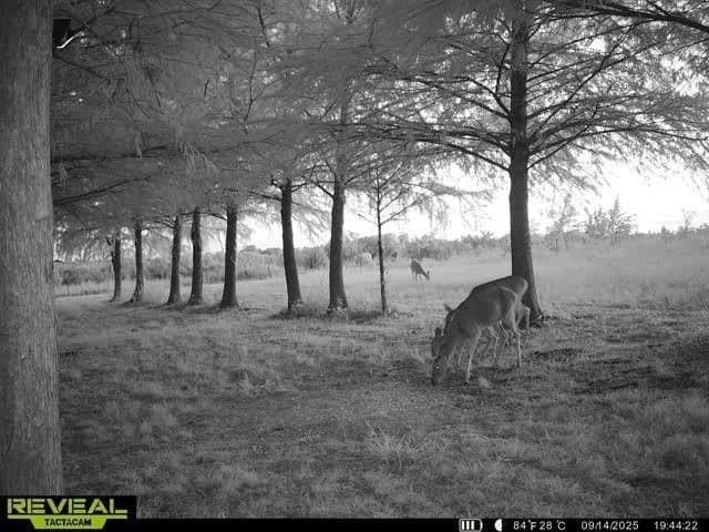 6.08 acres in Collin County - photo 25