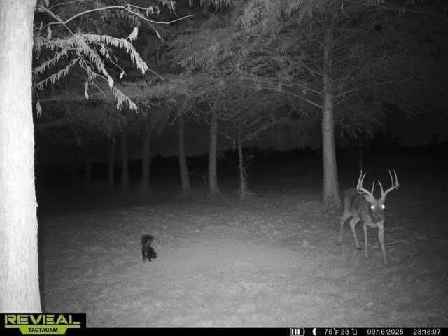 6.08 acres in Collin County - photo 17