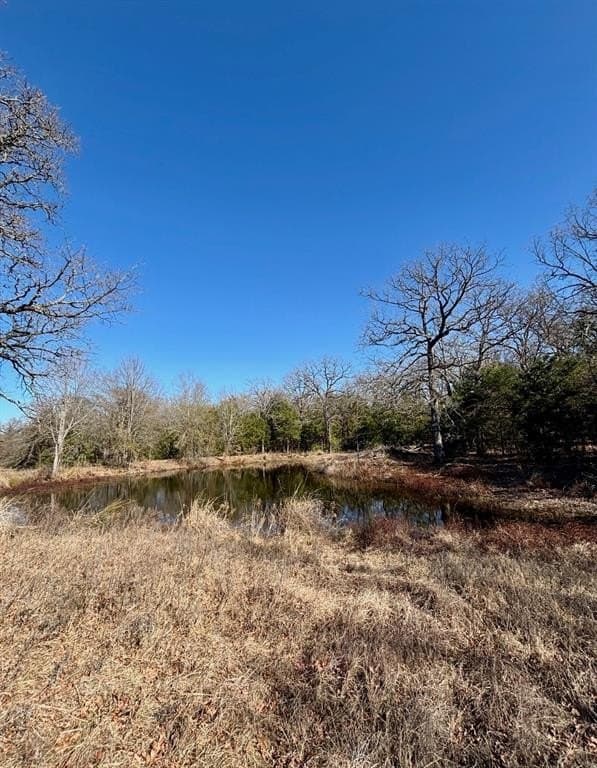 13.59 acres in Henderson County - photo 3