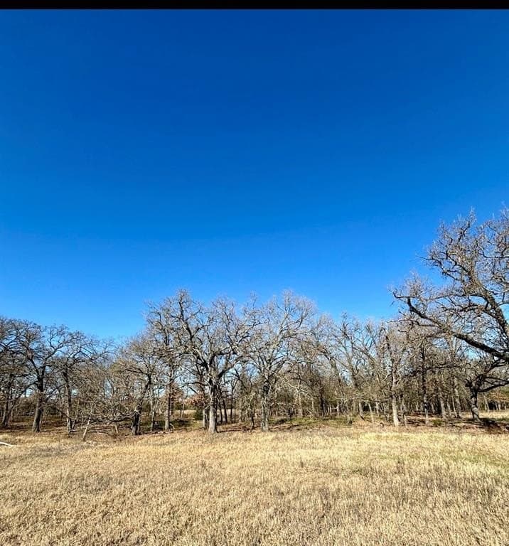 13.59 acres in Henderson County - photo 5