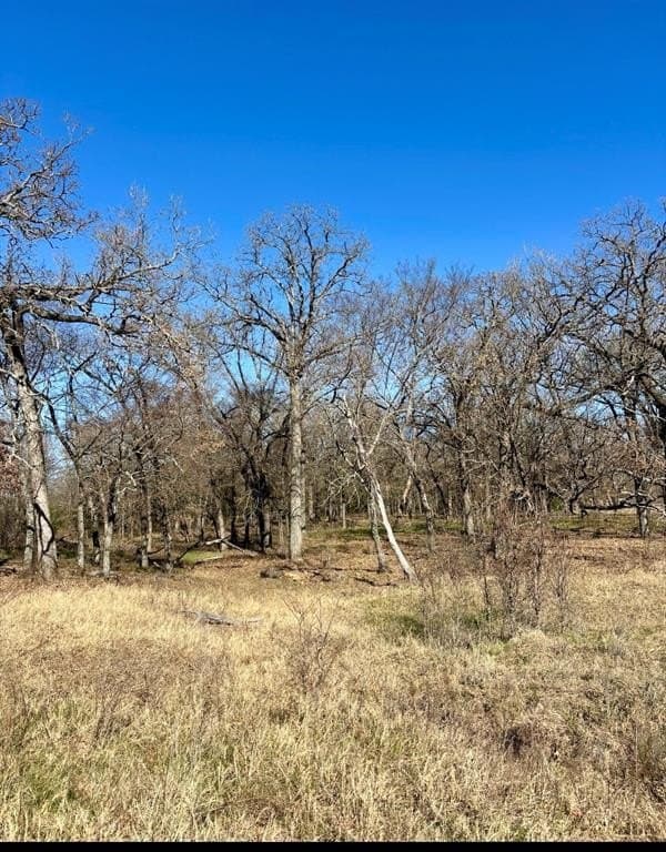 13.59 acres in Henderson County - photo 4