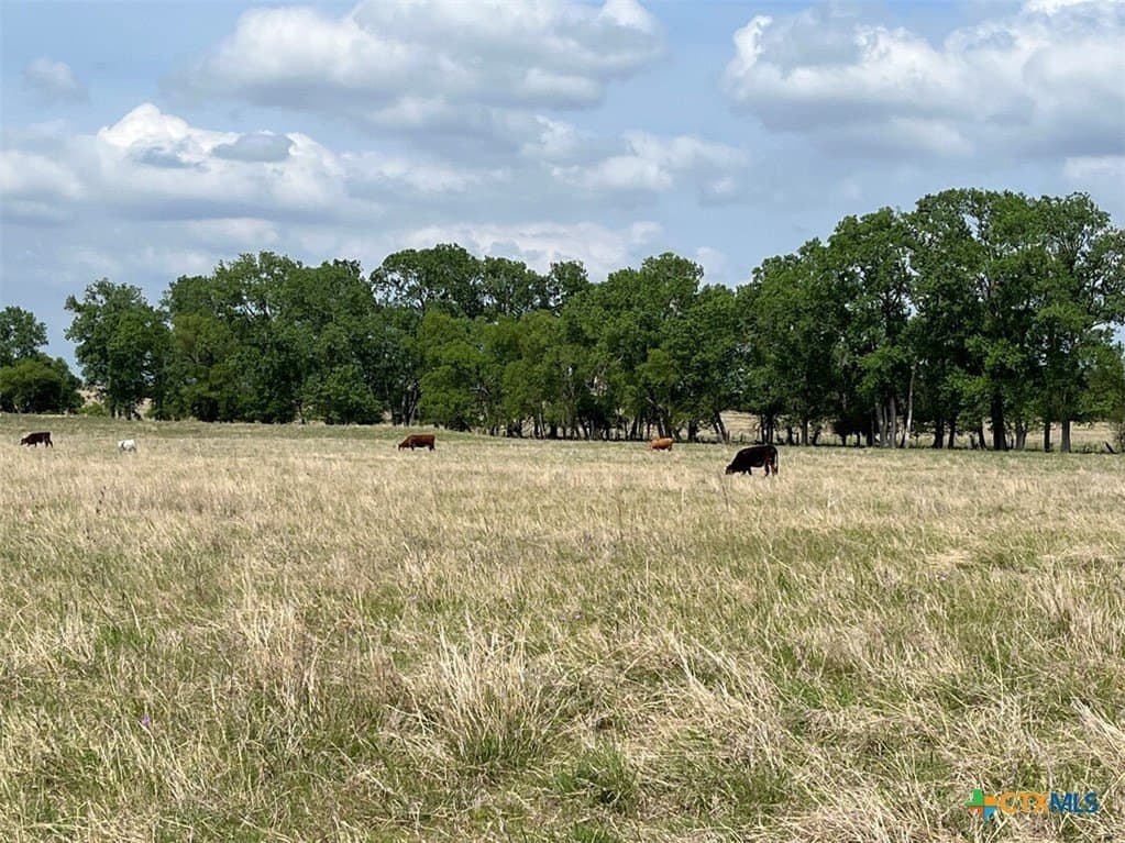521.03 acres in Coryell County - photo 13
