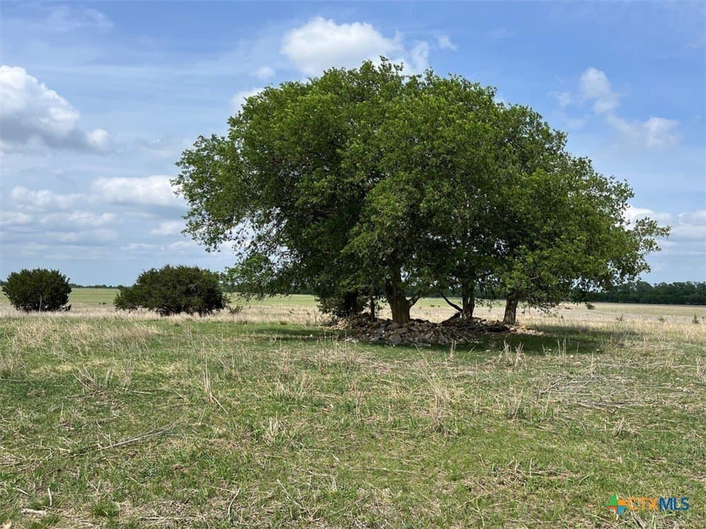 521.03 acres in Coryell County - photo 2
