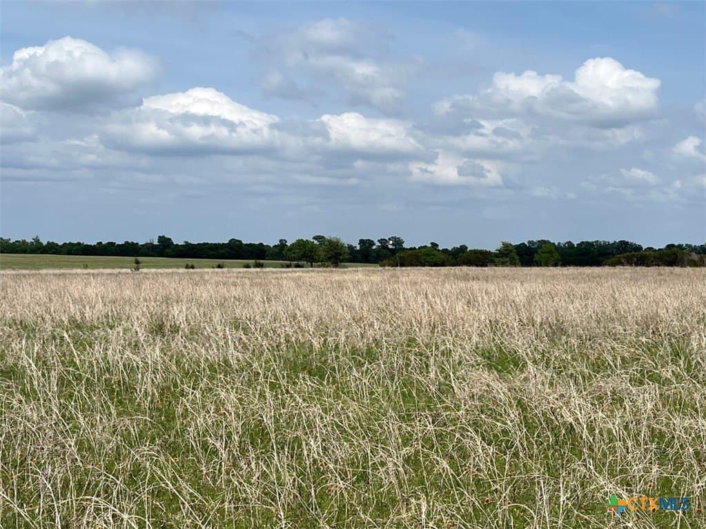 521.03 acres in Coryell County - photo 9