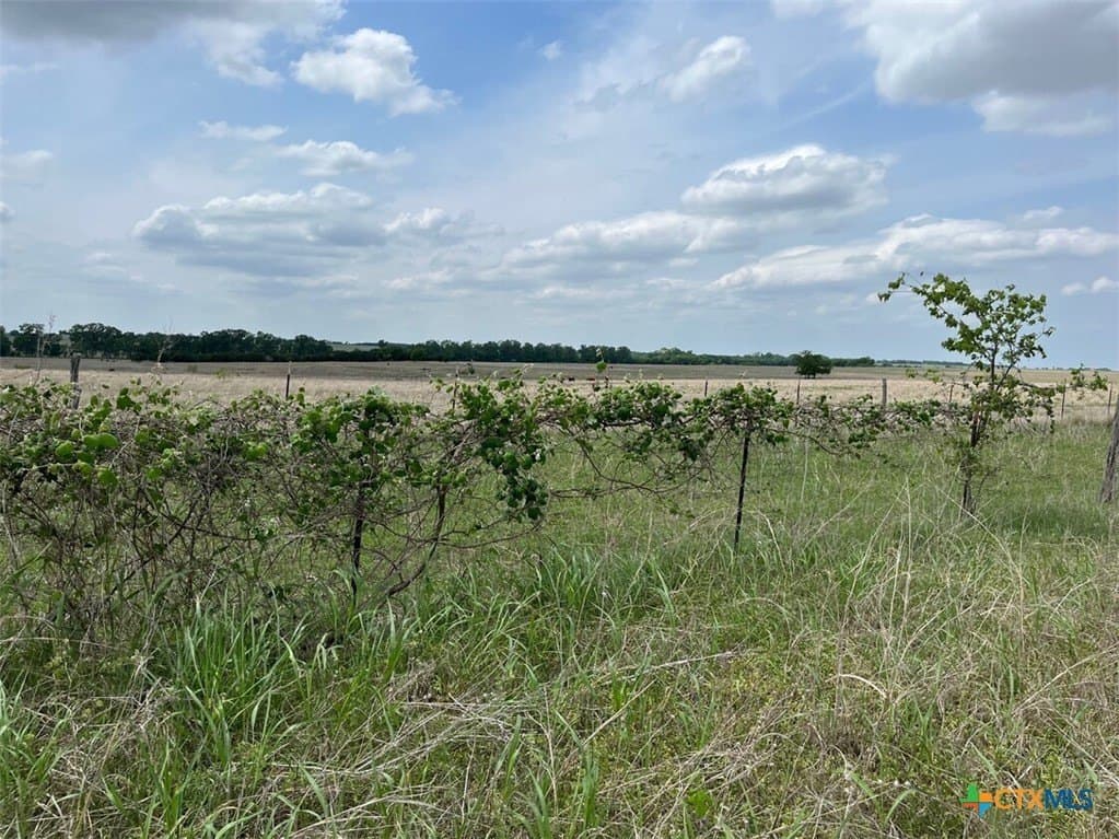 521.03 acres in Coryell County - photo 11
