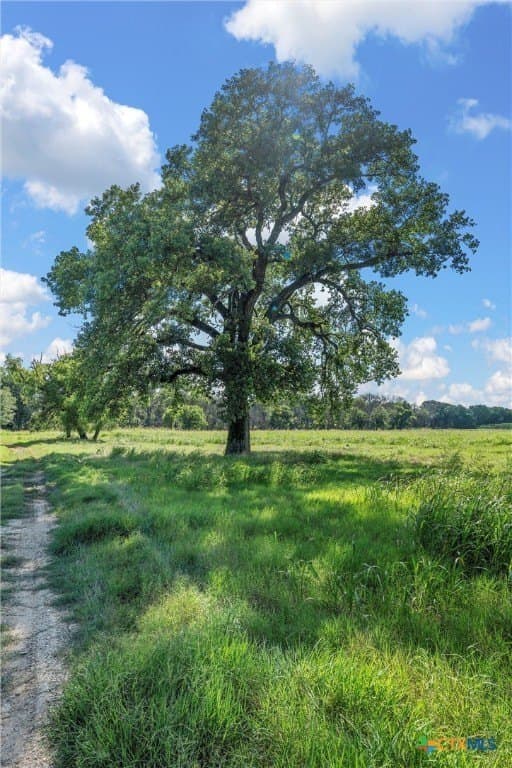68.31 acres in McLennan County - photo 20