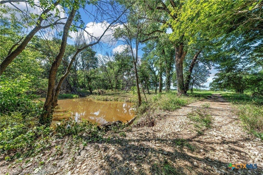 68.31 acres in McLennan County - photo 10