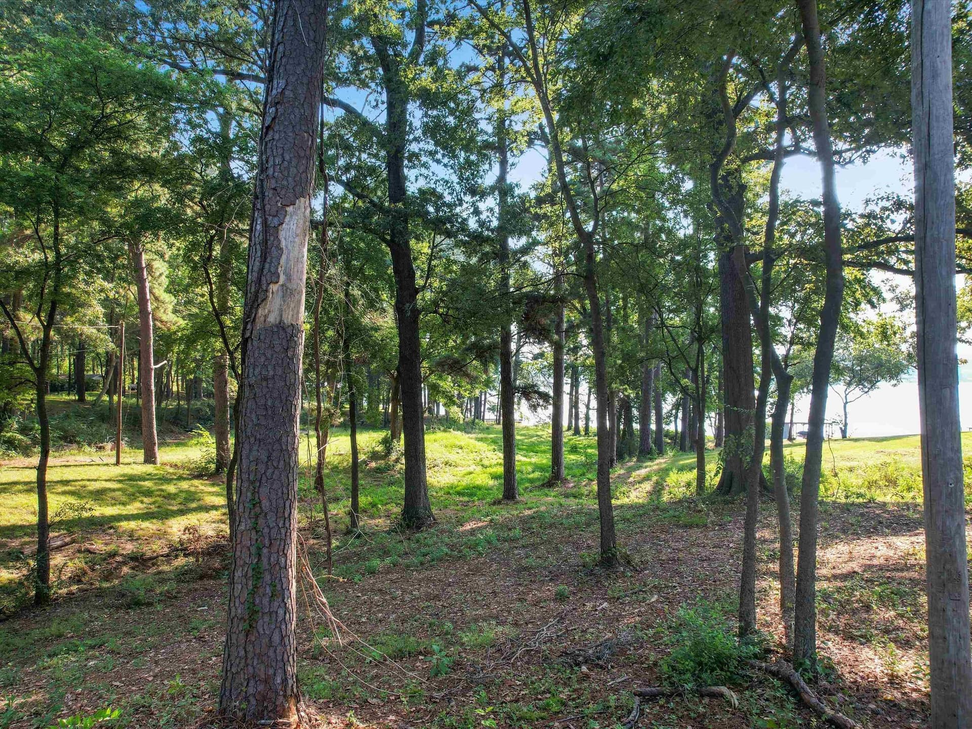 0.75 acres in Morris County - photo 12