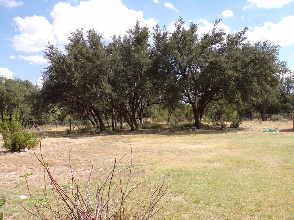 21.2 acres in Tom Green County - photo 12