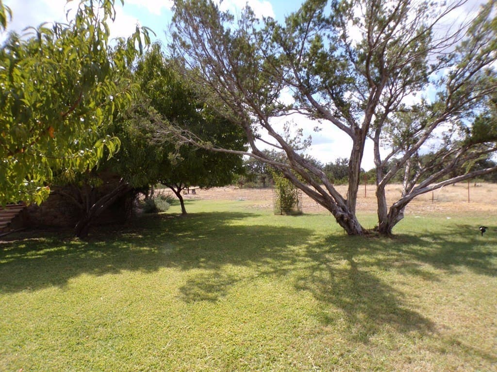 21.2 acres in Tom Green County - photo 10