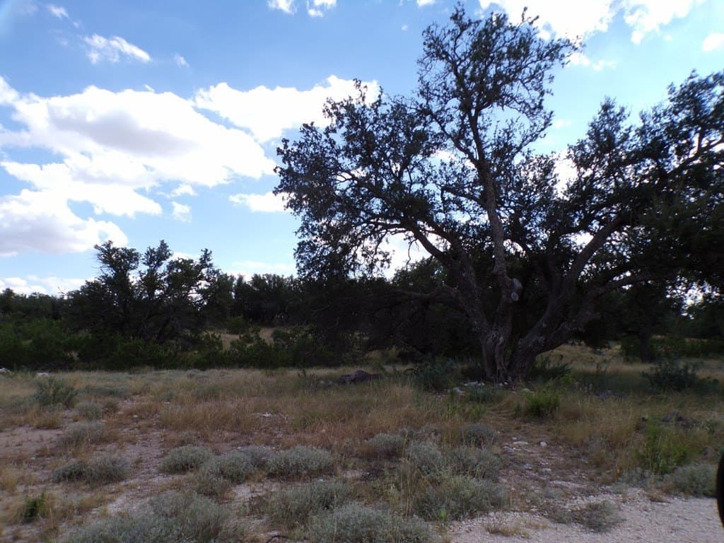 21.2 acres in Tom Green County - photo 7