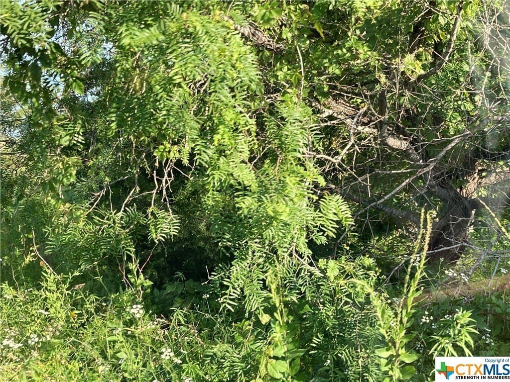 1.7 acres in Caldwell County - photo 3