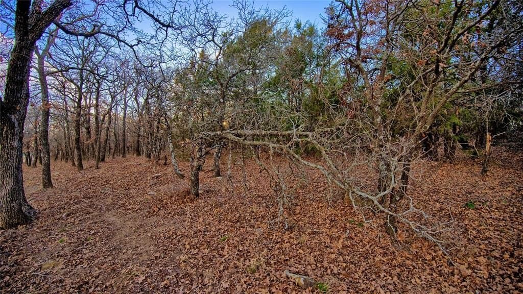 114.44 acres in Montague County - photo 36