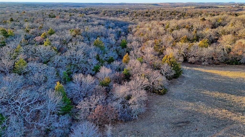 114.44 acres in Montague County - photo 22