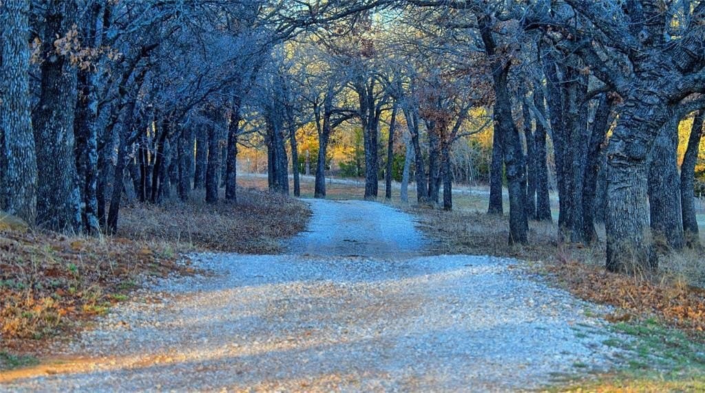 114.44 acres in Montague County - photo 38