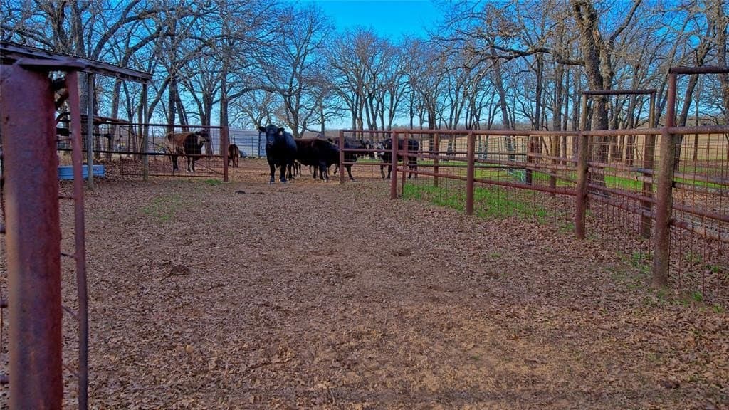 114.44 acres in Montague County - photo 21