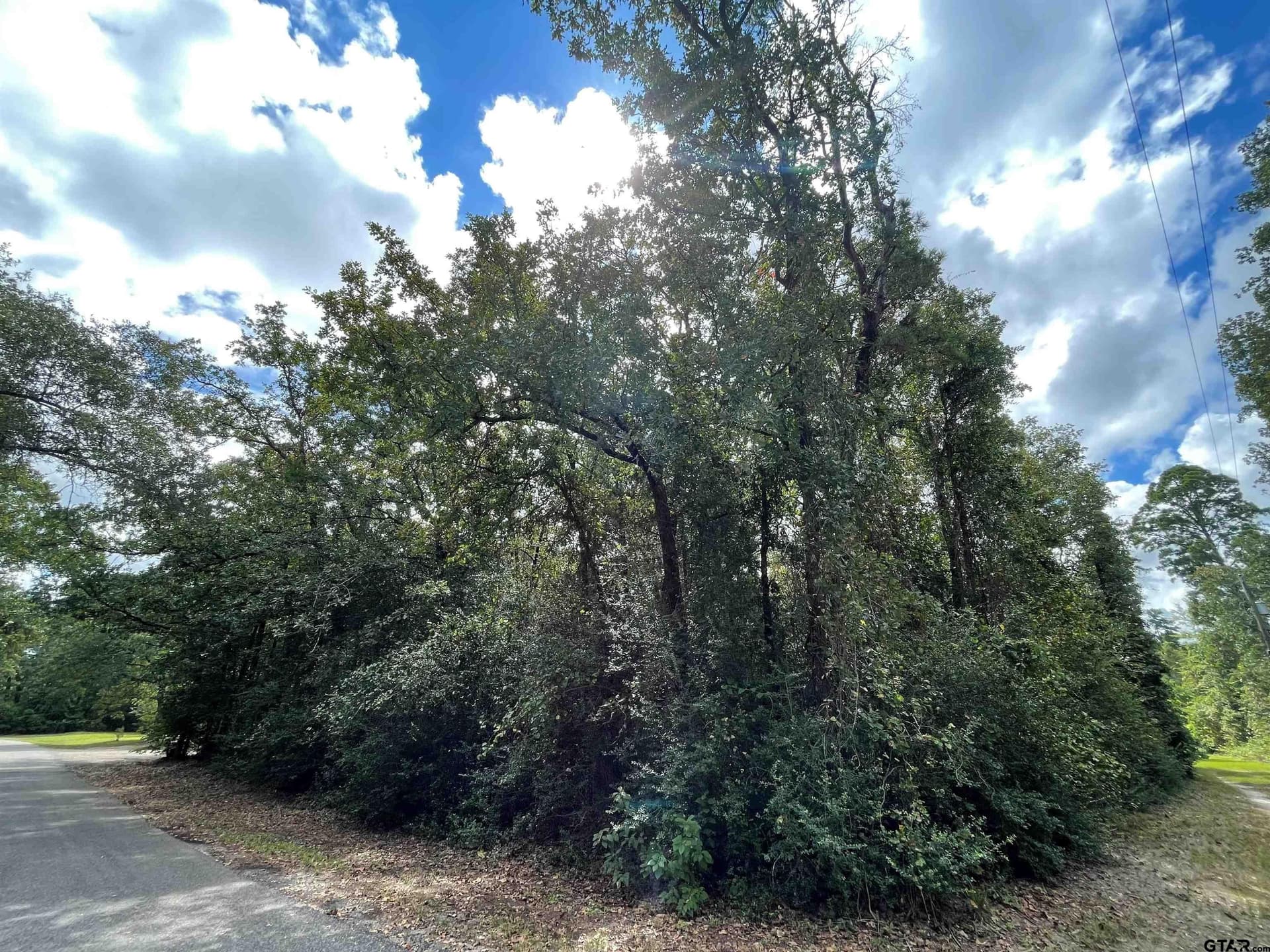 0.18 acres in Wood County - photo 2