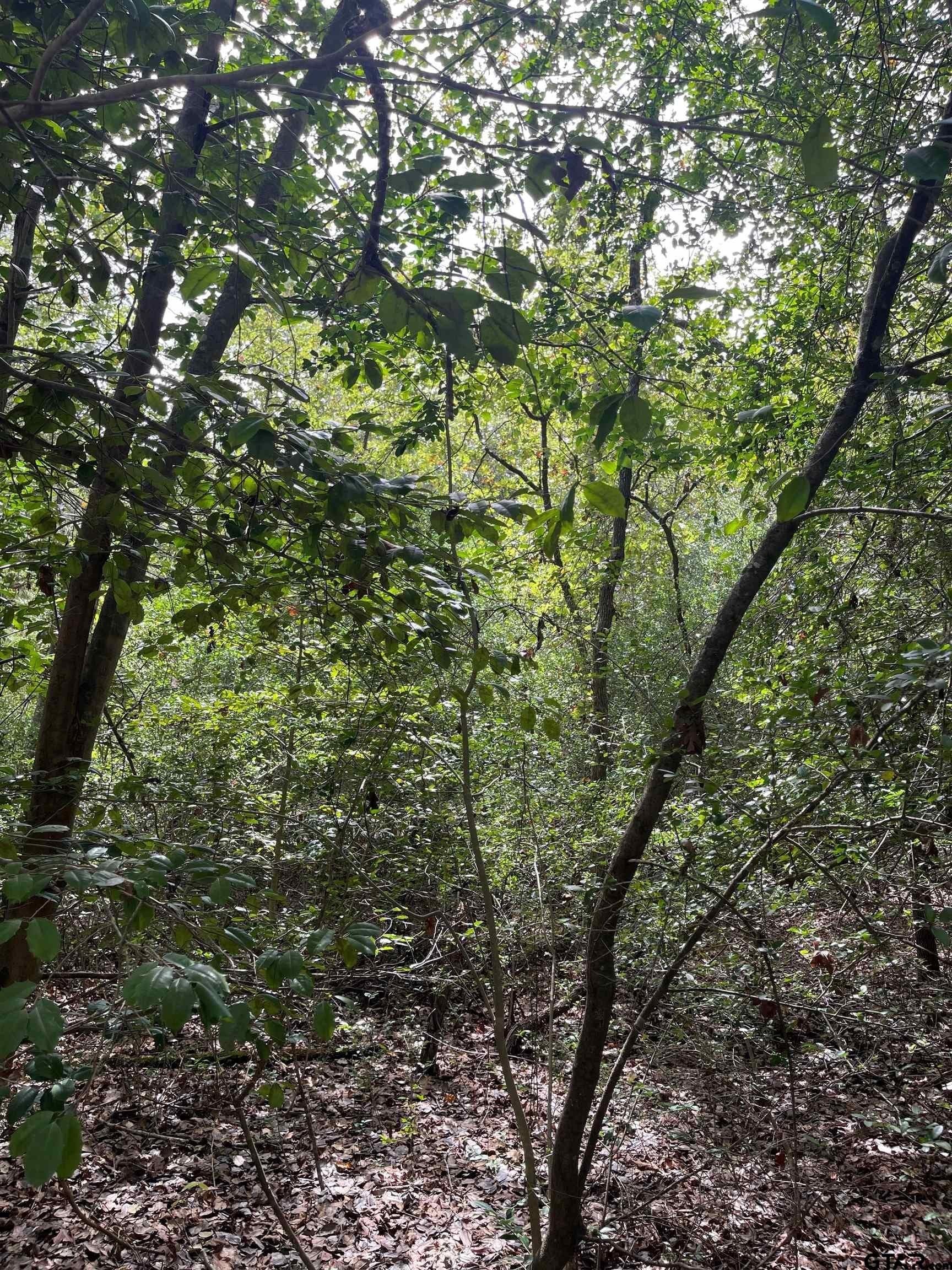 0.18 acres in Wood County - photo 7
