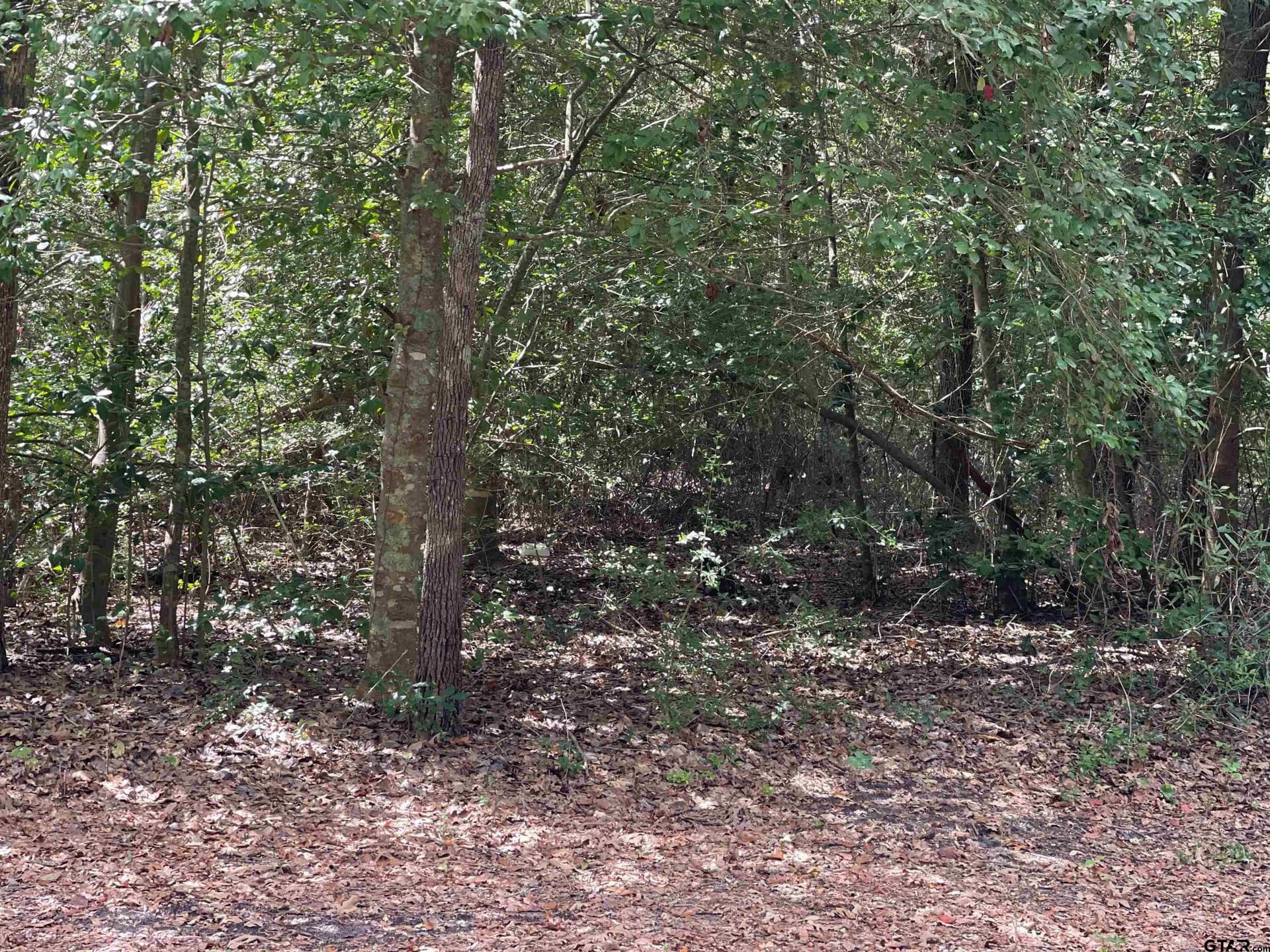 0.18 acres in Wood County - photo 6