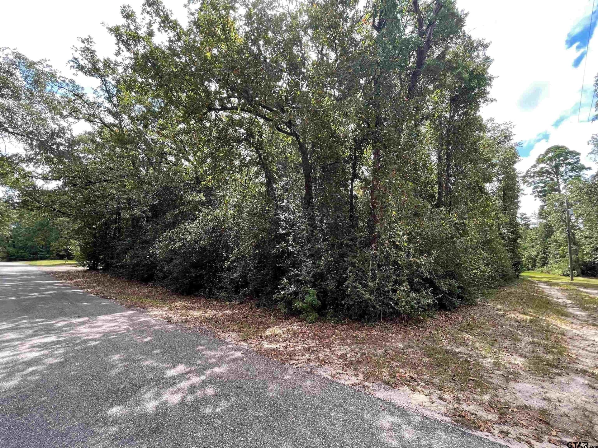 0.18 acres in Wood County - photo 3