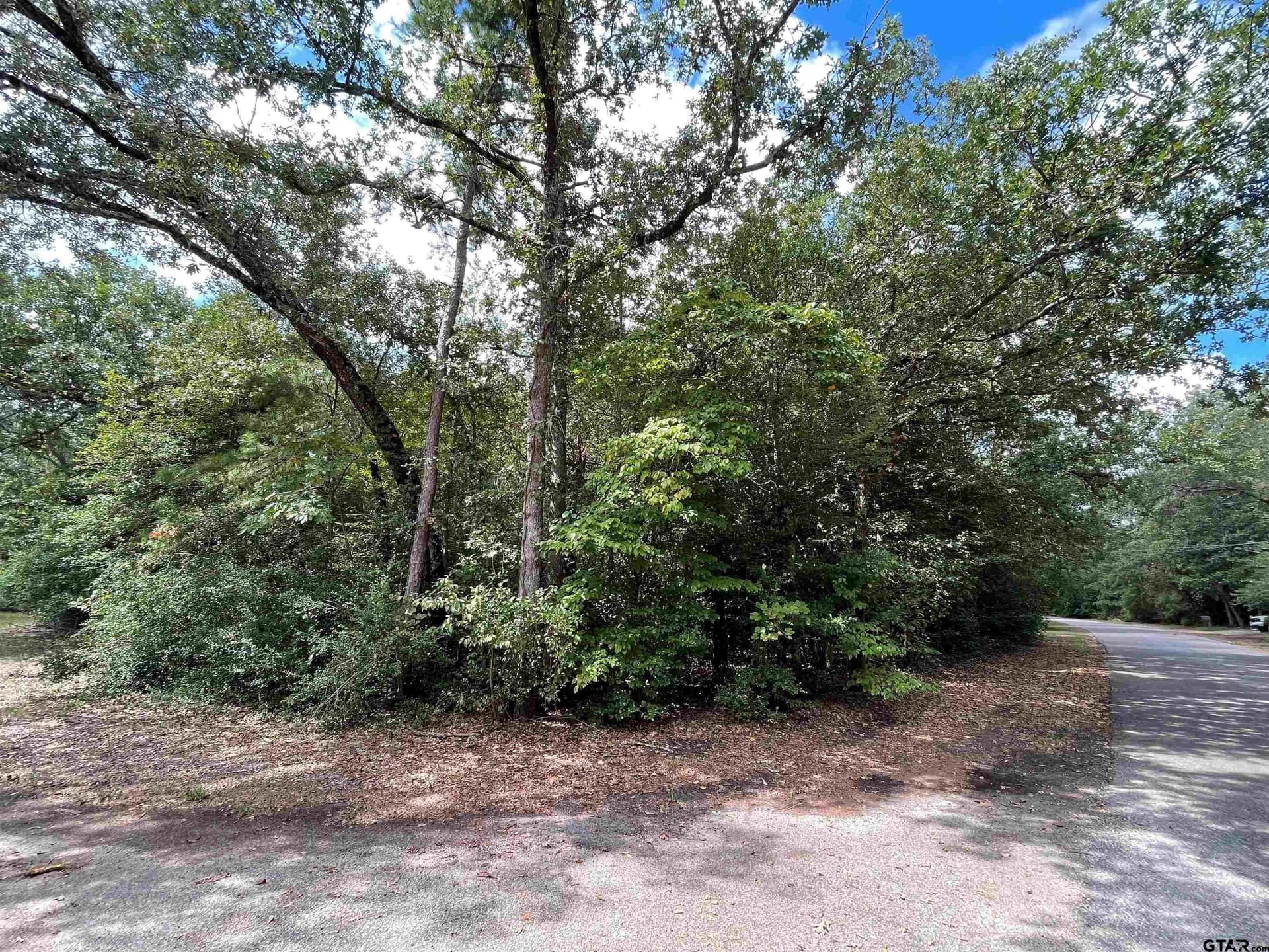 0.18 acres in Wood County - photo 4
