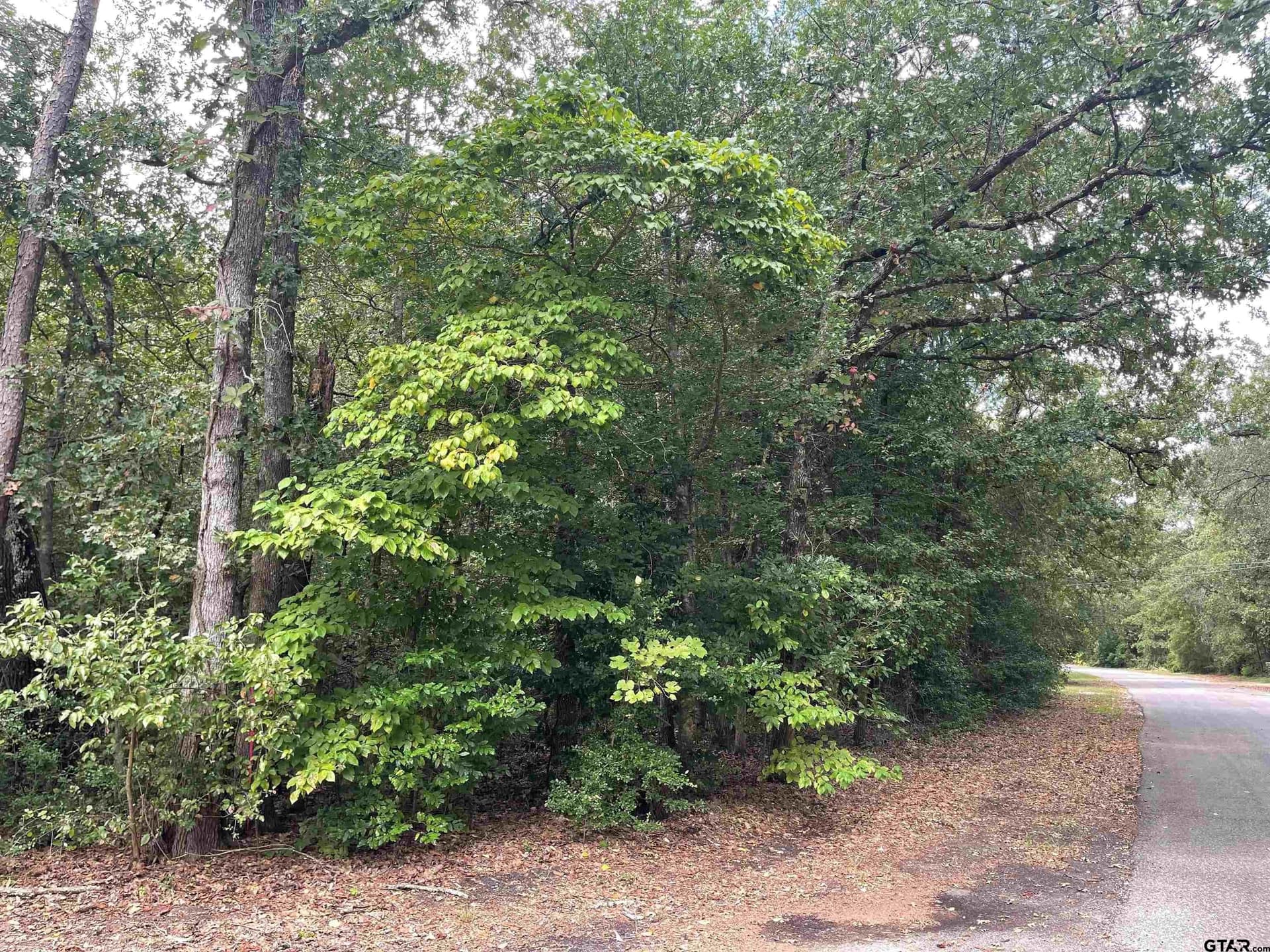 0.18 acres in Wood County - photo 5