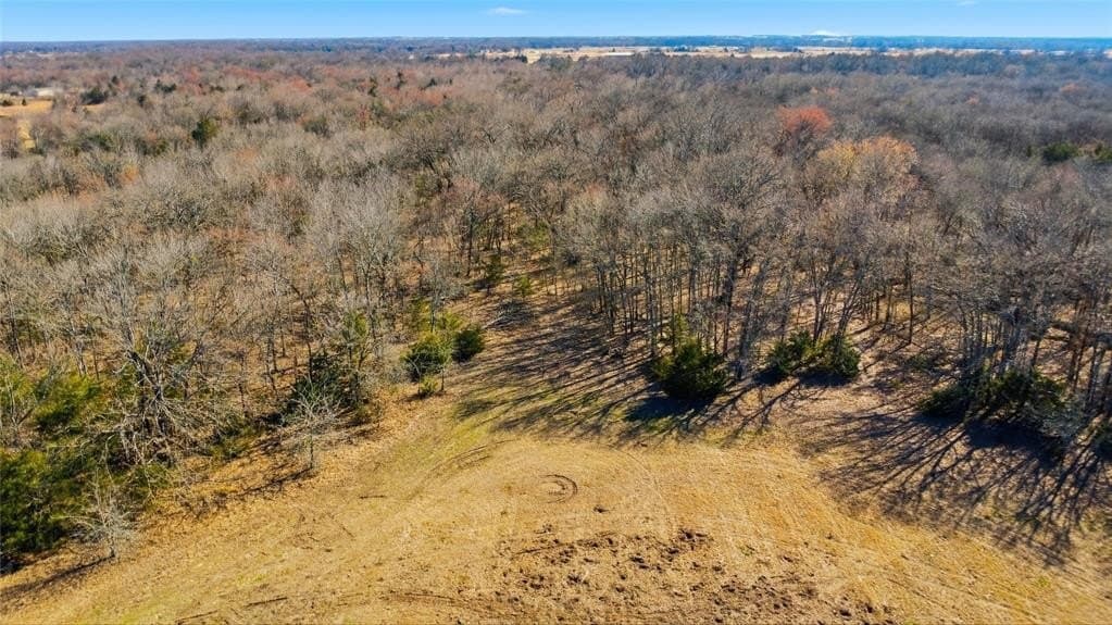 16.01 acres in Hopkins County - photo 8