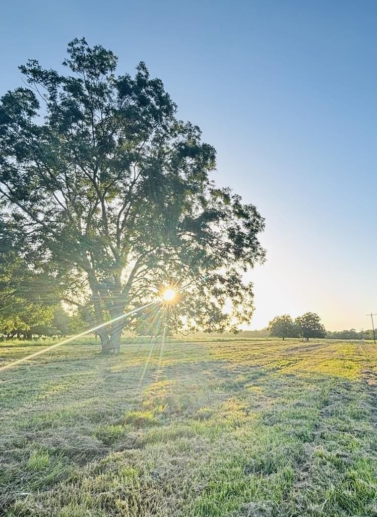 10.98 acres in Texas County - photo 2
