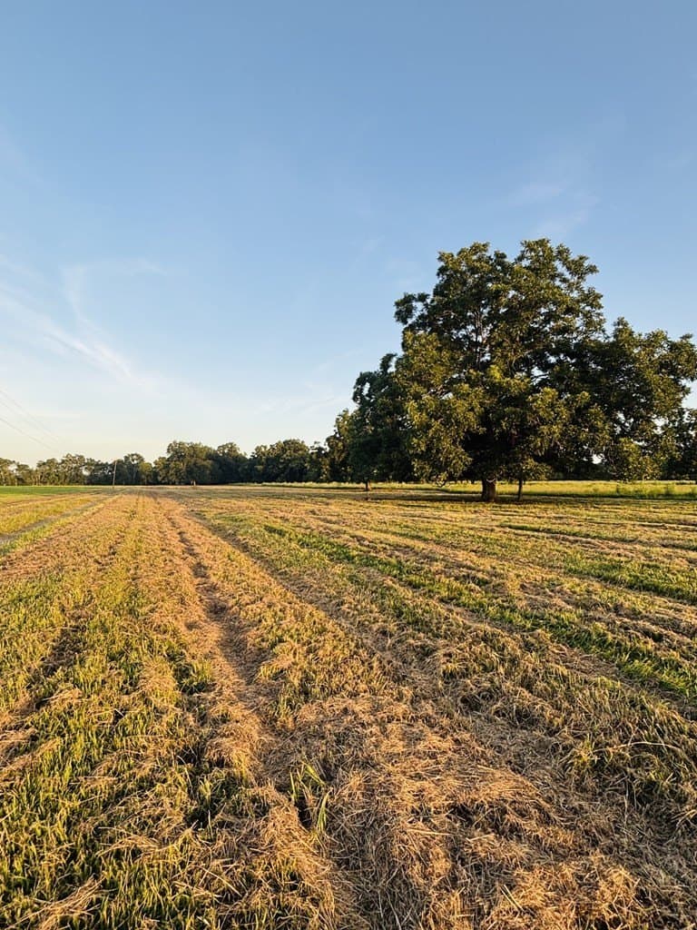 10.98 acres in Texas County - photo 6