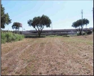 4.76 acres in Dallas County - photo 13