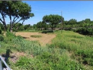 4.76 acres in Dallas County - photo 7