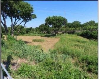 4.76 acres in Dallas County - photo 14