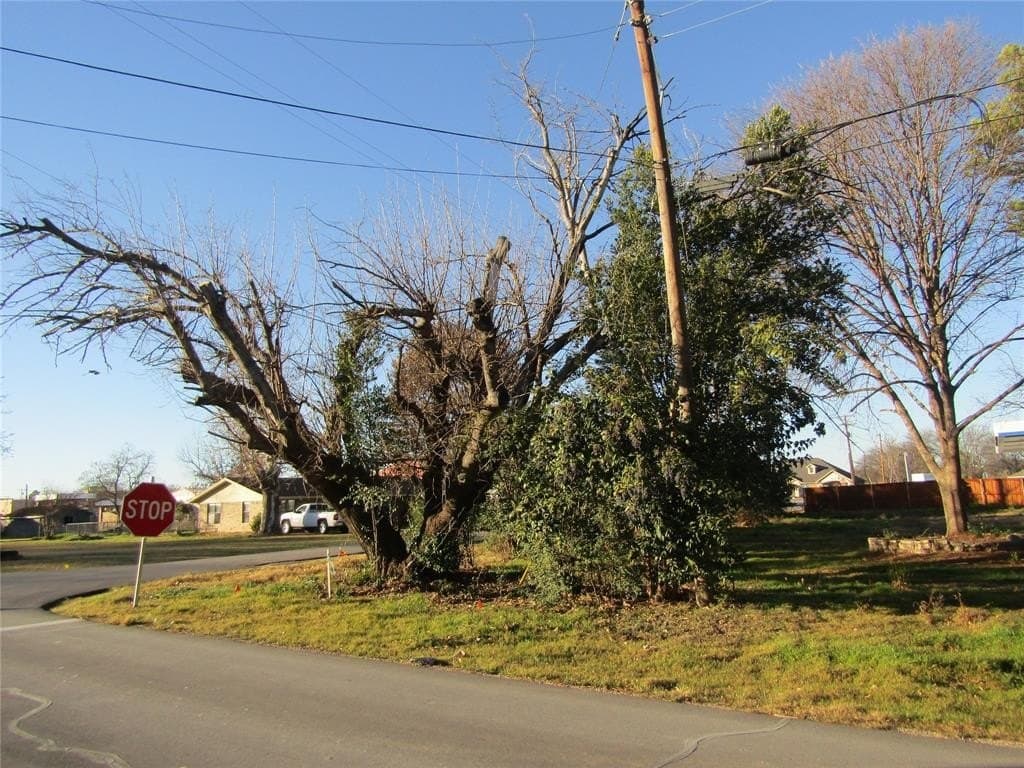0.19 acres in Wise County - photo 2