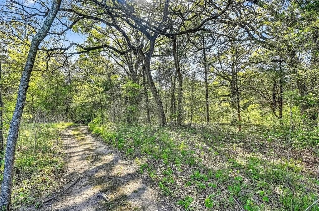 16.2 acres in Henderson County - photo 31