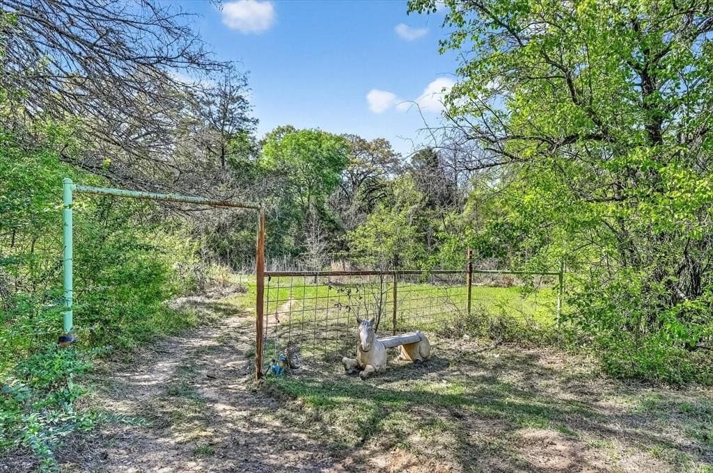 16.2 acres in Henderson County - photo 30
