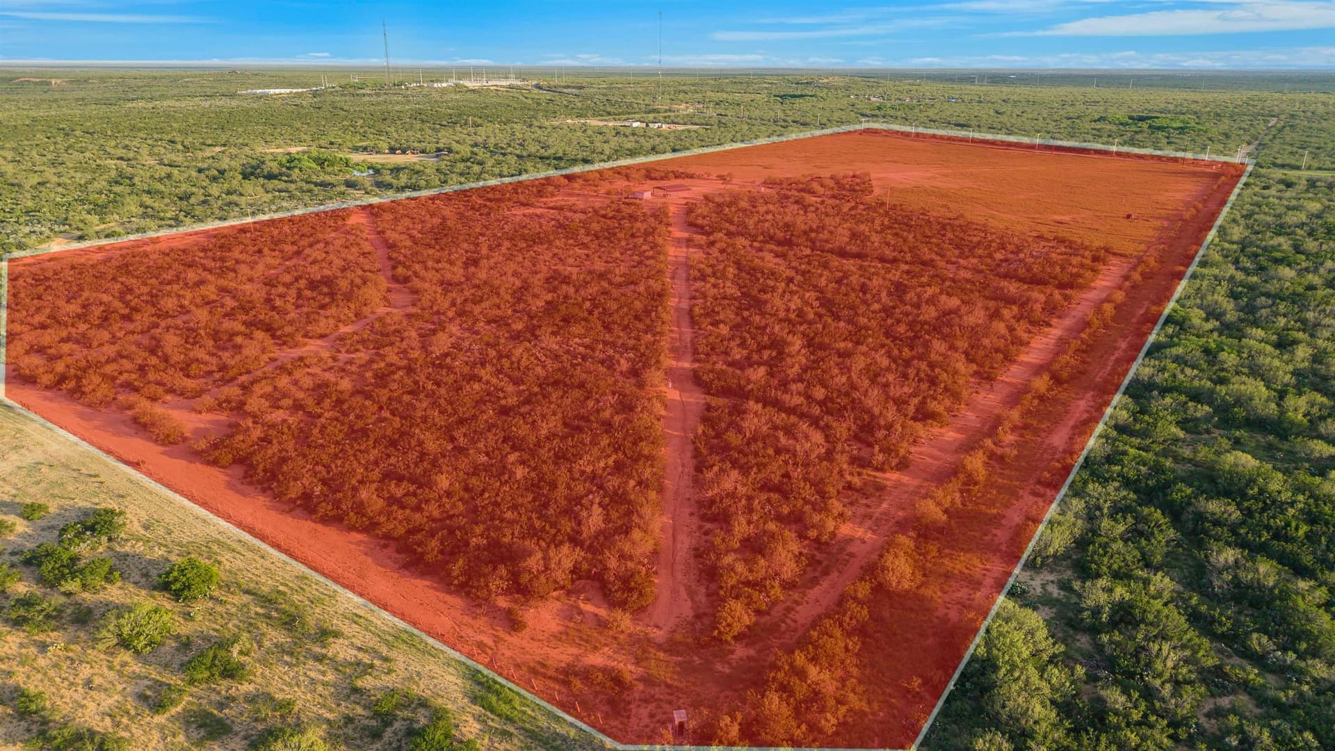 5 acres in Webb County - photo 6