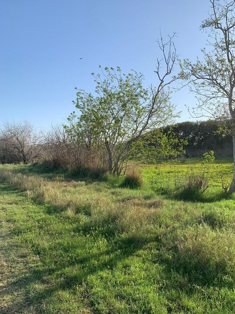 0 acres in Aransas County - photo 2