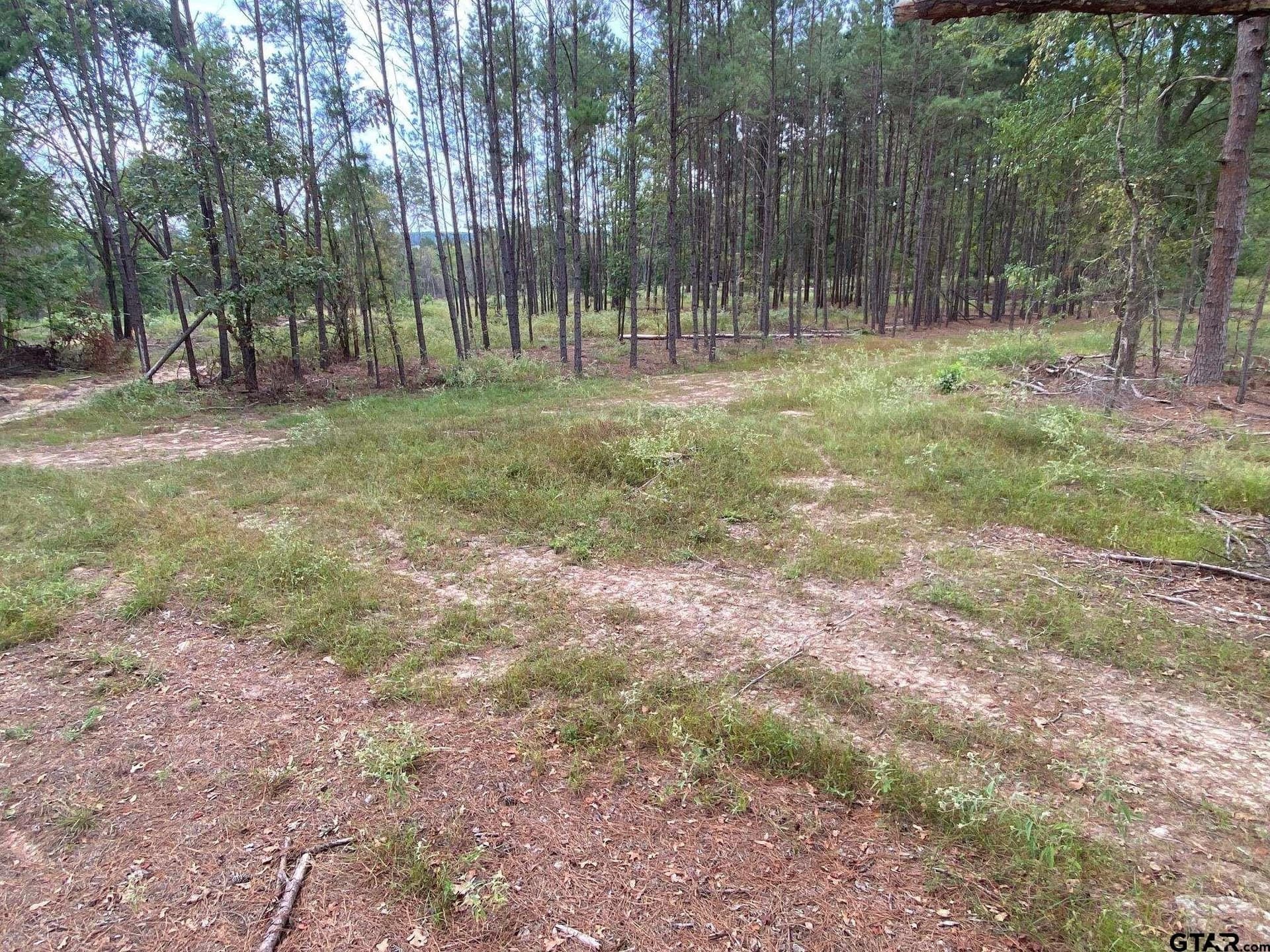 14 acres in Cherokee County - photo 2