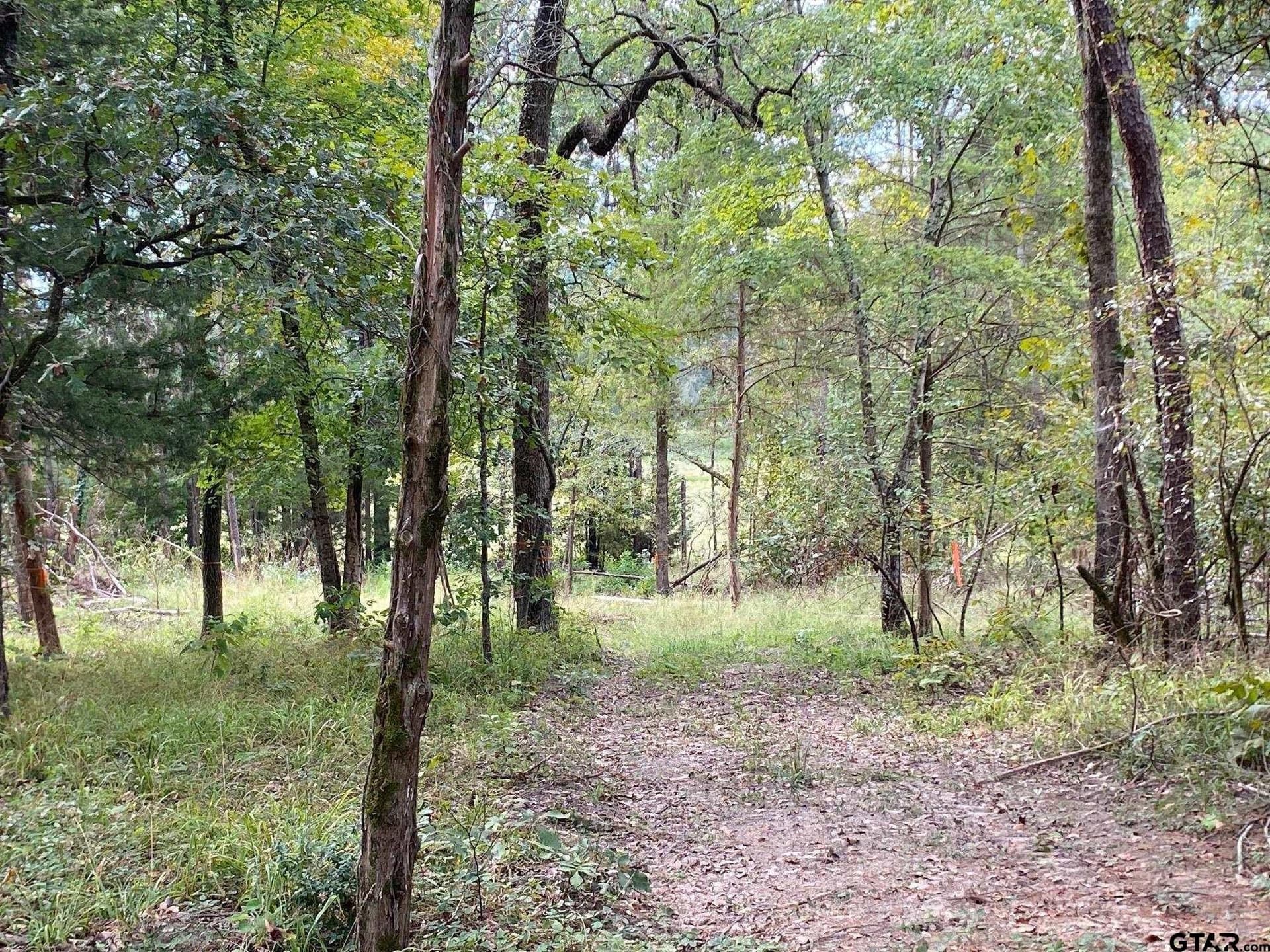 14 acres in Cherokee County - photo 4