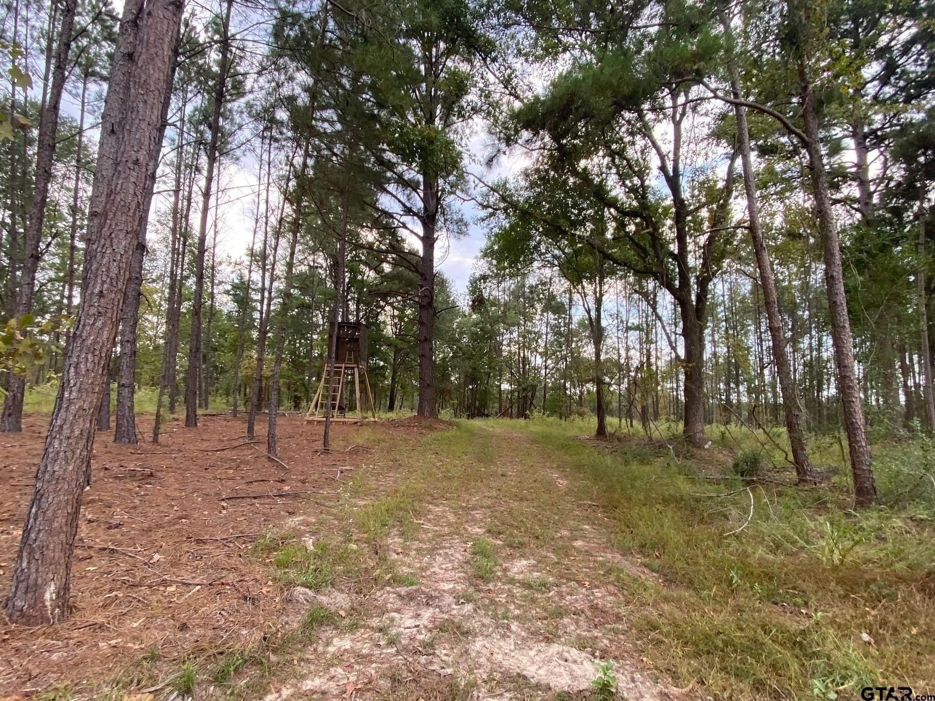 14 acres in Cherokee County - photo 6