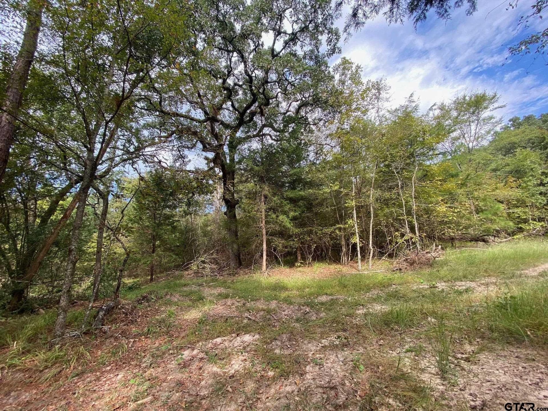 14 acres in Cherokee County - photo 5