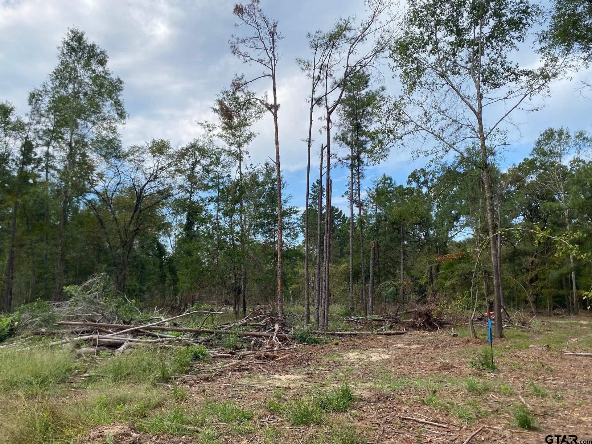 14 acres in Cherokee County - photo 3