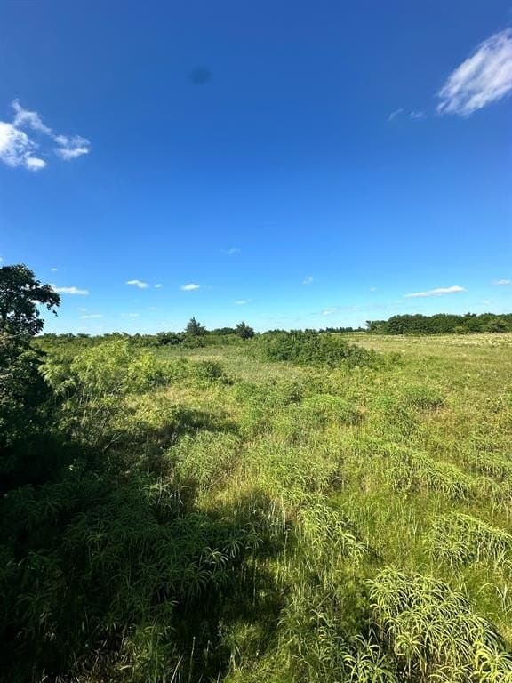 20.58 acres in Cooke County - photo 10